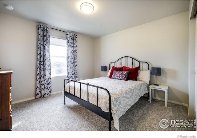 bedroom featuring carpet flooring