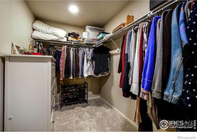 spacious closet with carpet floors