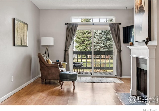 living area featuring light hardwood / wood-style flooring