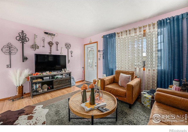 living room with hardwood / wood-style flooring