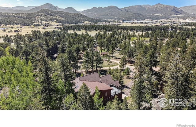 birds eye view of property featuring a mountain view