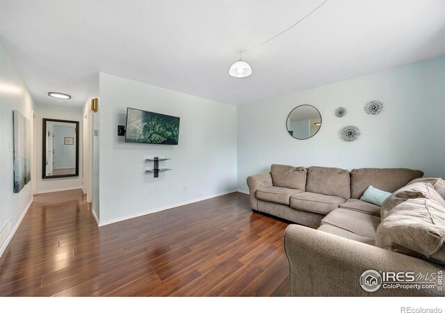 living room with dark hardwood / wood-style flooring