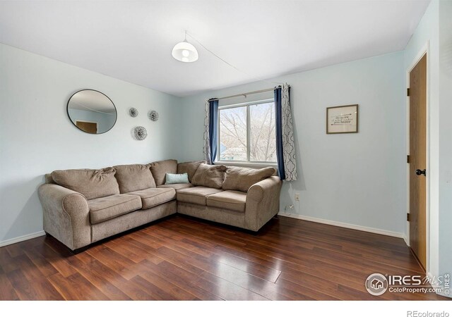 living room with dark hardwood / wood-style floors