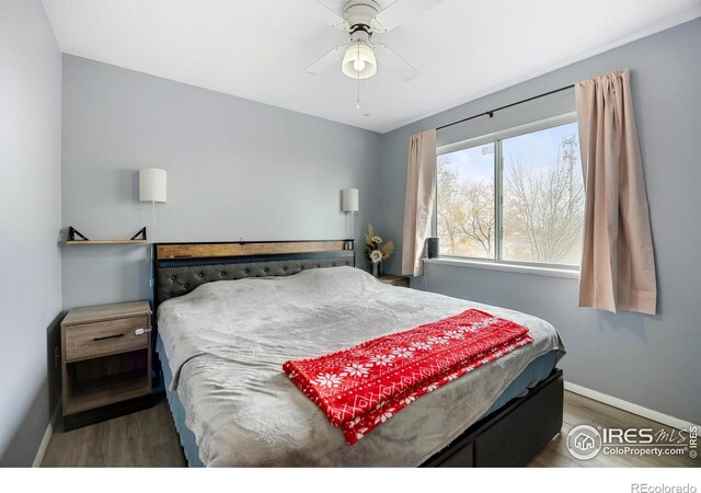 bedroom featuring ceiling fan and dark wood-type flooring