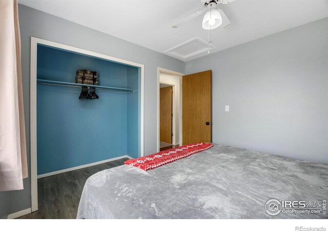 bedroom with ceiling fan, dark wood-type flooring, and a closet