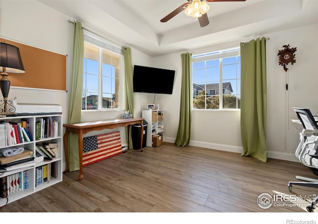 home office with a raised ceiling, ceiling fan, and light hardwood / wood-style flooring