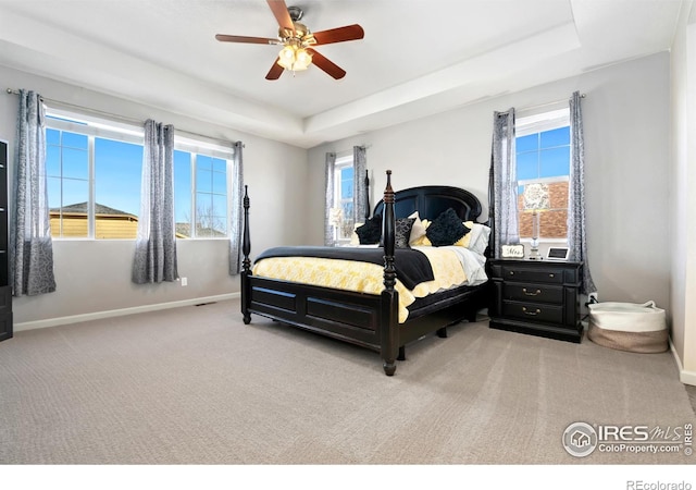 carpeted bedroom with ceiling fan, a raised ceiling, and multiple windows