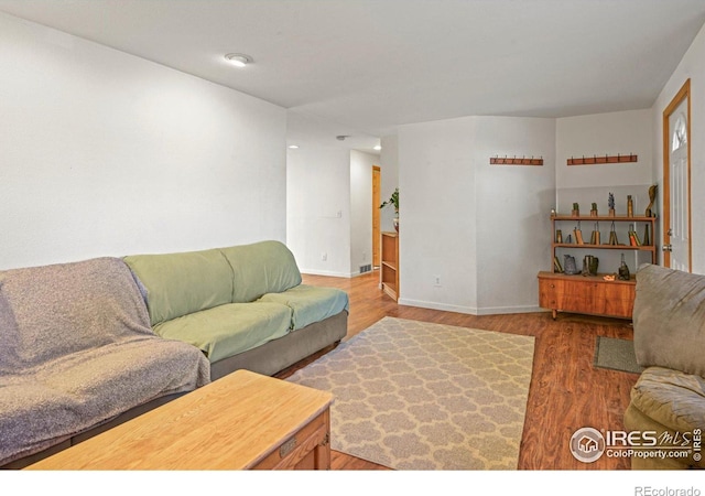 living room featuring wood-type flooring