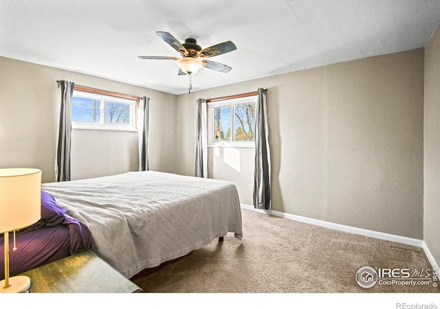 bedroom featuring ceiling fan, carpet floors, and multiple windows