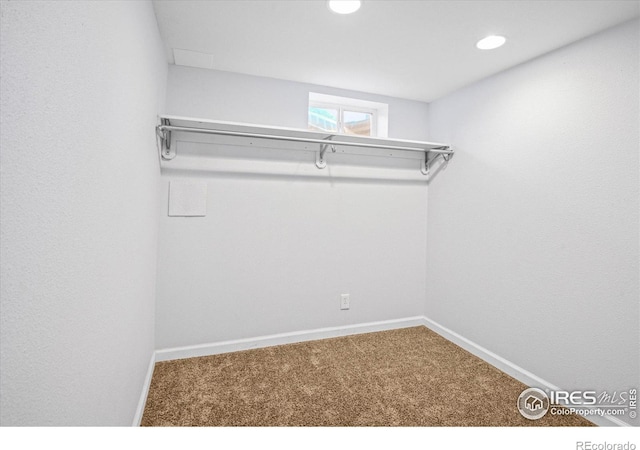 walk in closet featuring carpet