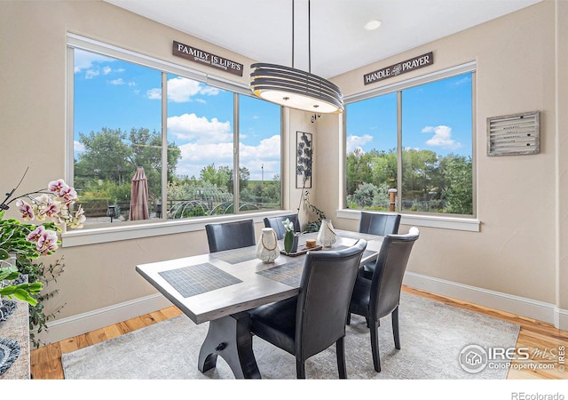 dining room with hardwood / wood-style floors and a healthy amount of sunlight