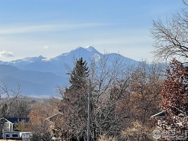 908 Sugar Mill Ave, Longmont, CO 80504 - photo 2