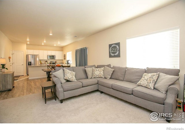 living room featuring light hardwood / wood-style floors