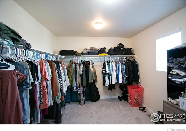 spacious closet with carpet floors