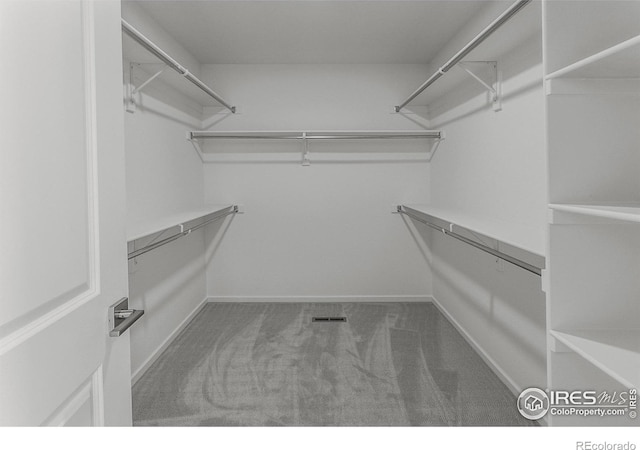 5086 Mckinnon Ct, Timnath, CO 80547 - walk in closet featuring carpet flooring