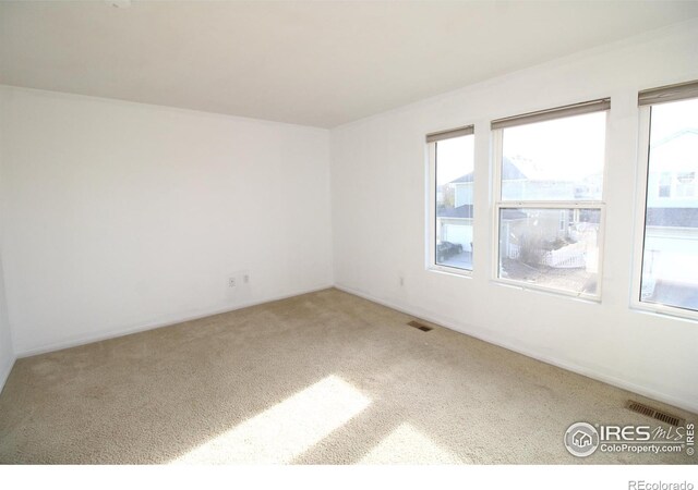 carpeted spare room featuring a wealth of natural light