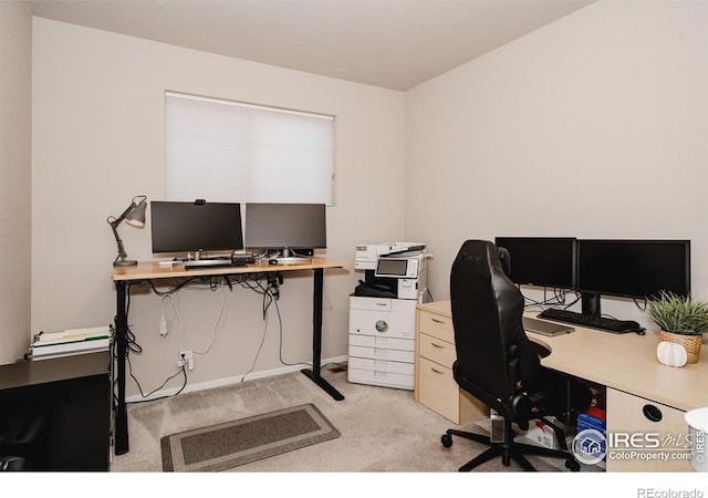 office space with light carpet