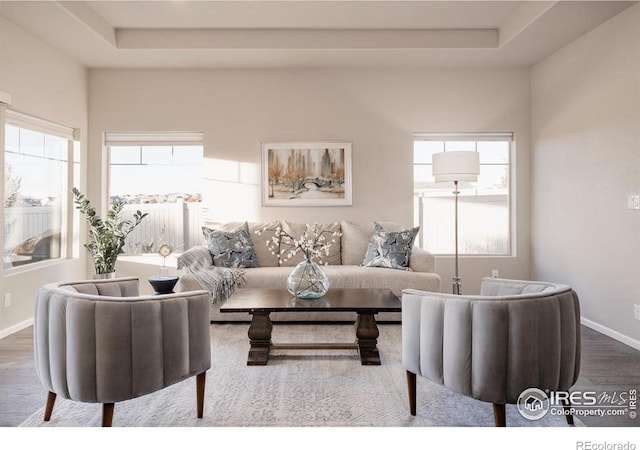 living room with dark wood-style floors, a raised ceiling, and baseboards