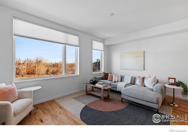 living room with light hardwood / wood-style floors