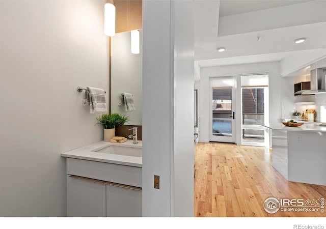 bathroom featuring hardwood / wood-style floors and vanity