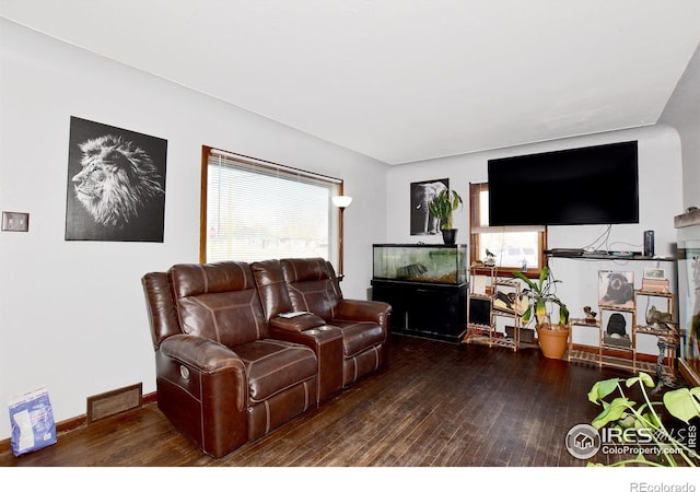 living room featuring dark wood-type flooring