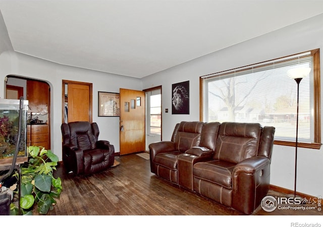 living room featuring dark hardwood / wood-style flooring