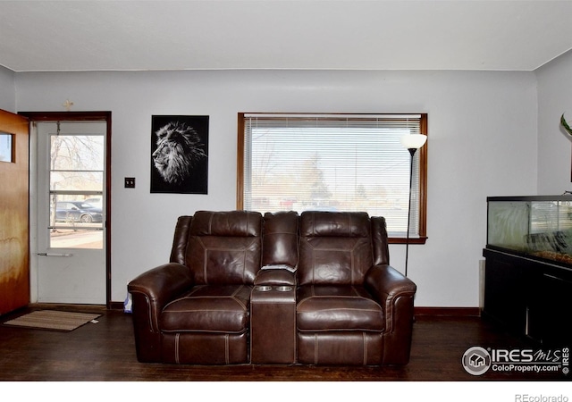 living room with dark wood-type flooring