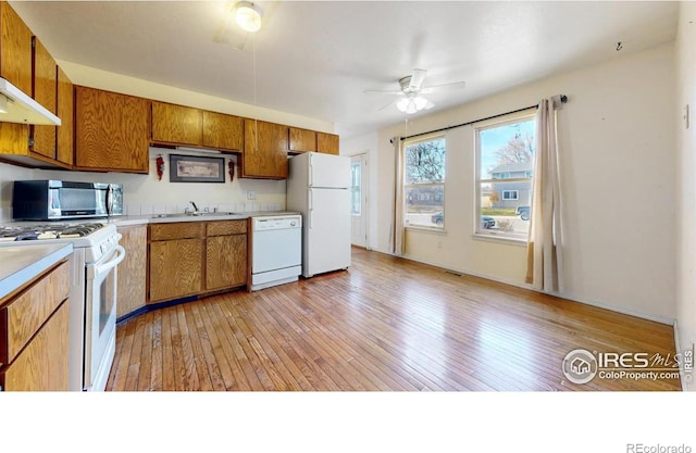 kitchen featuring ceiling fan, sink, light hardwood / wood-style flooring, white appliances, and exhaust hood