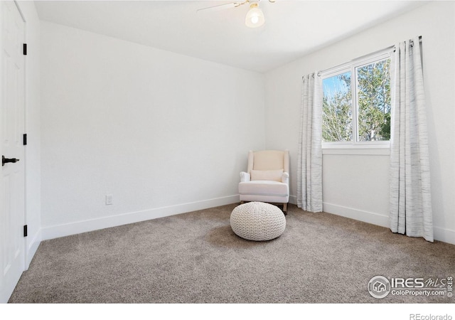 unfurnished room featuring carpet floors