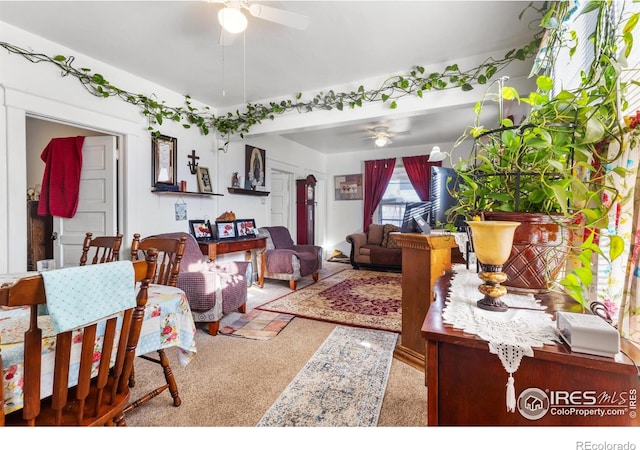 living room featuring ceiling fan and light carpet