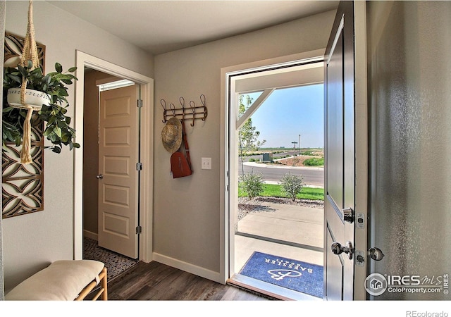 entryway with dark hardwood / wood-style flooring