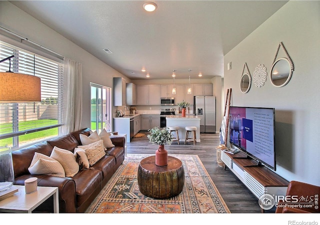 living room featuring dark hardwood / wood-style floors and sink