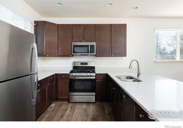 kitchen with dark hardwood / wood-style flooring, sink, dark brown cabinets, and appliances with stainless steel finishes