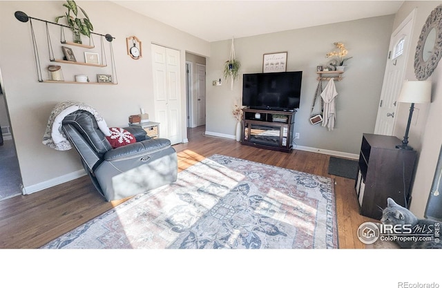 living room with dark hardwood / wood-style floors