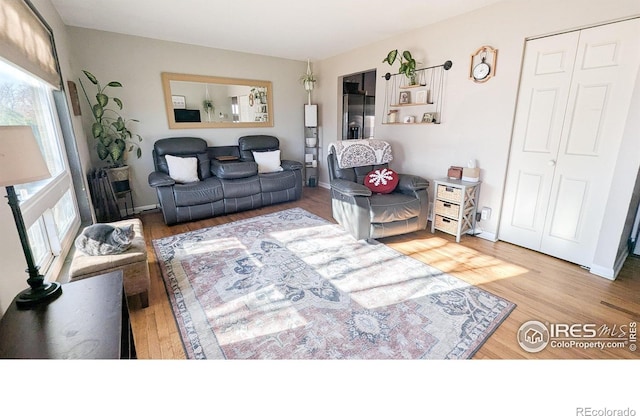 living room with hardwood / wood-style floors