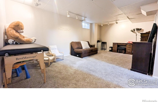 interior space featuring carpet and track lighting