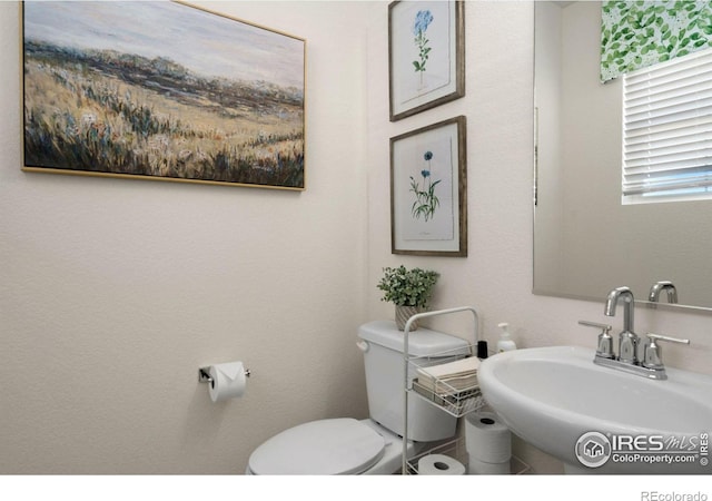 bathroom featuring sink and toilet