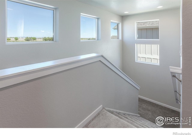 staircase featuring carpet flooring