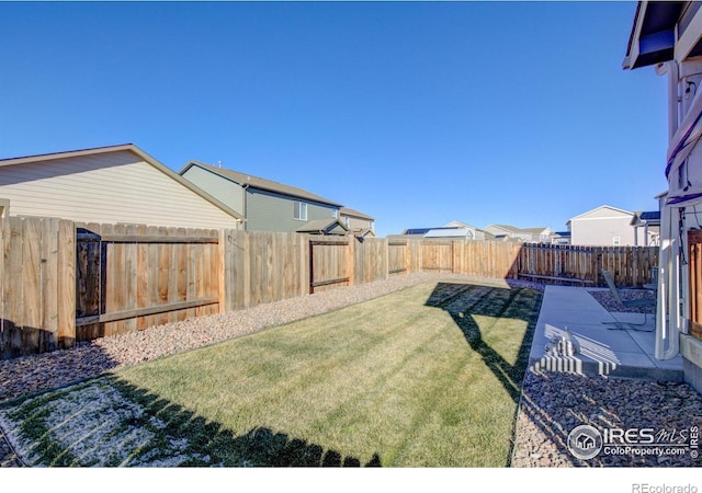 view of yard featuring a patio area