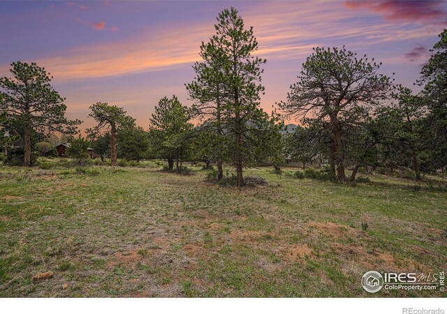 407 Pawnee Dr, Estes Park, CO 80517 - photo 1