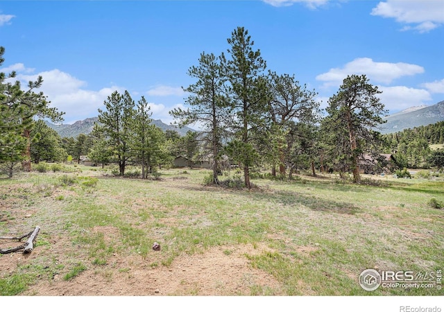 407 Pawnee Dr, Estes Park, CO 80517 - photo 2
