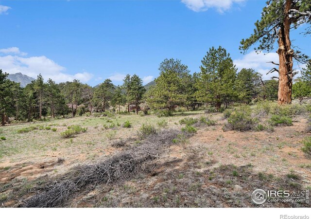 407 Pawnee Dr, Estes Park, CO 80517 - photo 3
