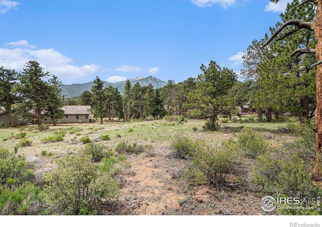 407 Pawnee Dr, Estes Park, CO 80517 - photo 4