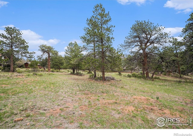 407 Pawnee Dr, Estes Park, CO 80517 - photo 8