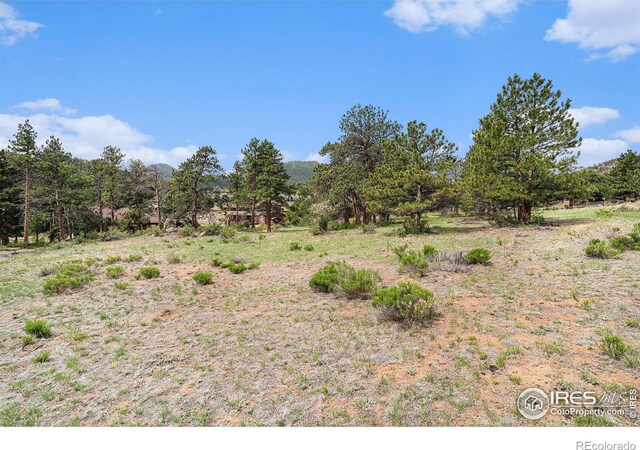 407 Pawnee Dr, Estes Park, CO 80517 - photo 9