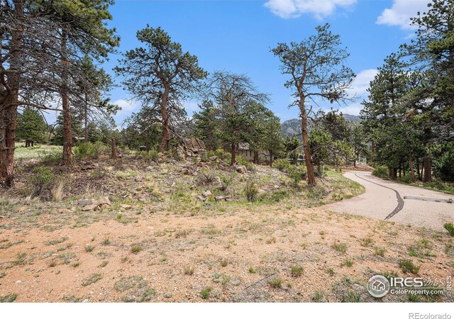 407 Pawnee Dr, Estes Park, CO 80517 - photo 10