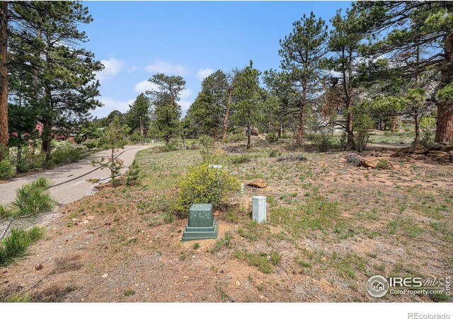 407 Pawnee Dr, Estes Park, CO 80517 - photo 12