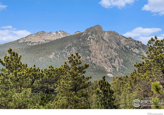 407 Pawnee Dr, Estes Park, CO 80517 - photo 14