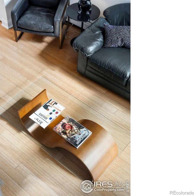 living room with wood-type flooring