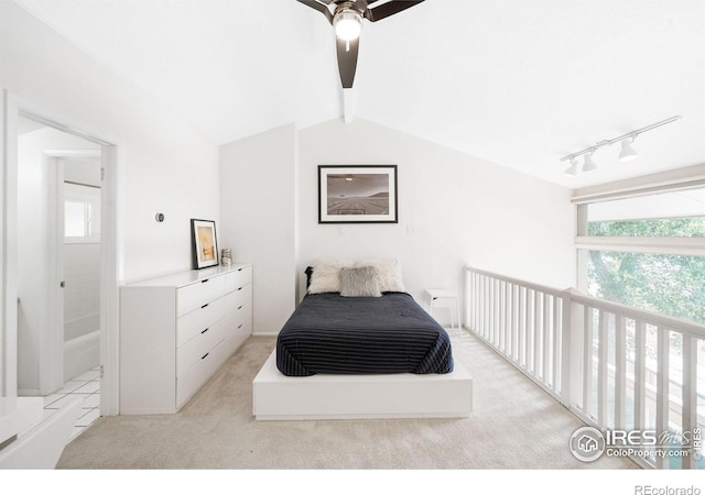 carpeted bedroom with lofted ceiling with beams, track lighting, multiple windows, and ceiling fan